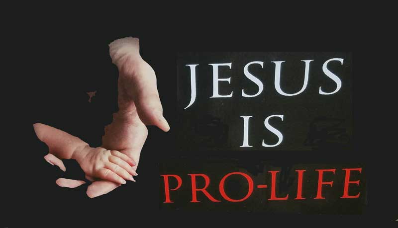 Jesus is pro life